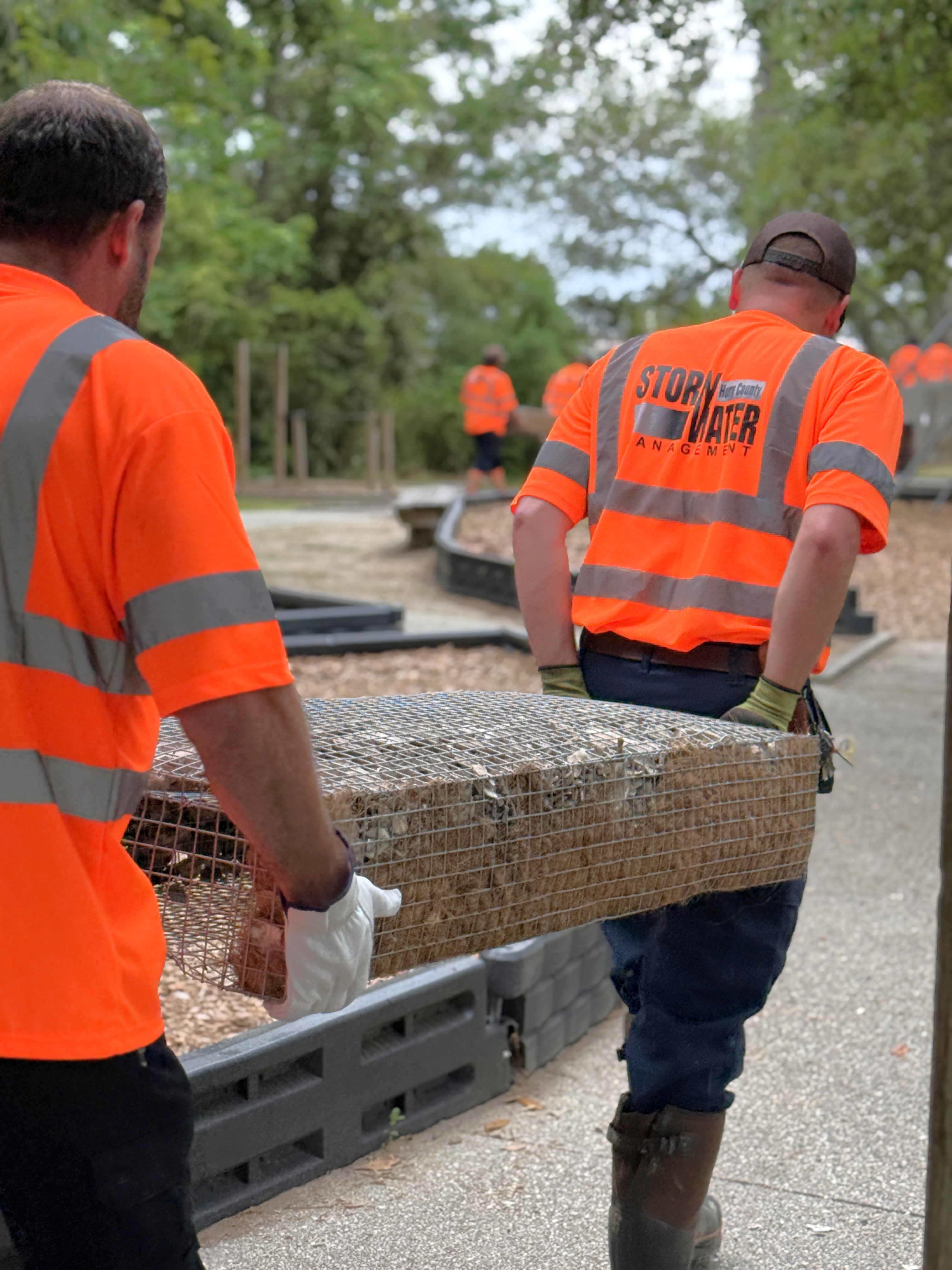 Stormwater team carrying oyster basket