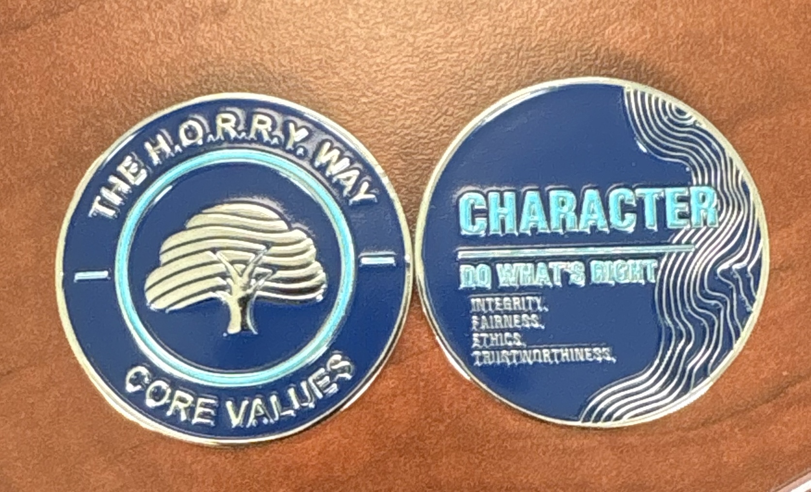 Values In Action Coins