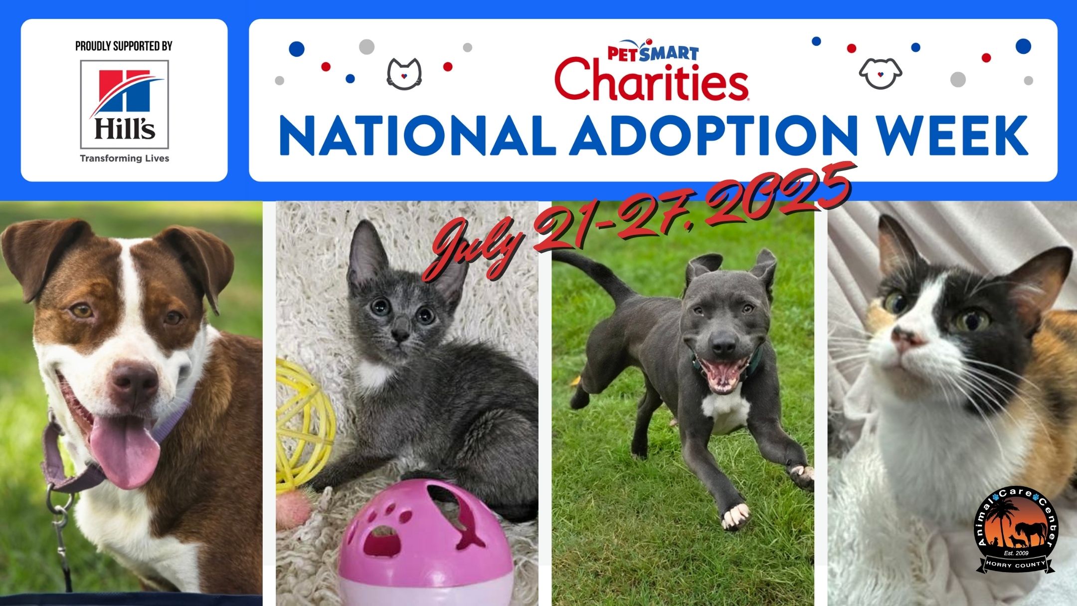 ACC Adoption Events 2025 (7)